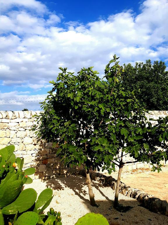 Masseria Cianciò Casa Serrafiori Exterior foto